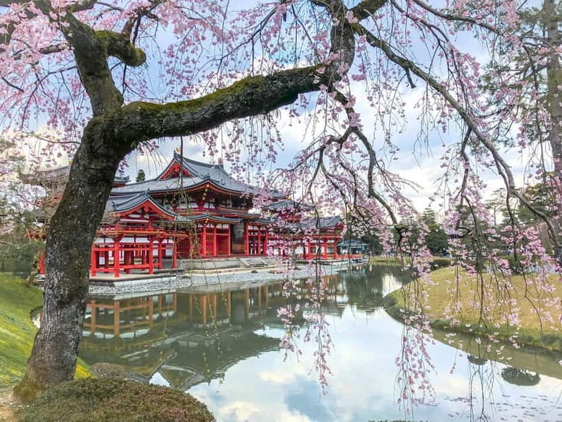 Osaka: Kyoto & Nara & Uji Historical and Scenic One-Day Tour - Tōdai-ji in 30 minutes: the Great Buddha hit, no waiting-for-forever energy