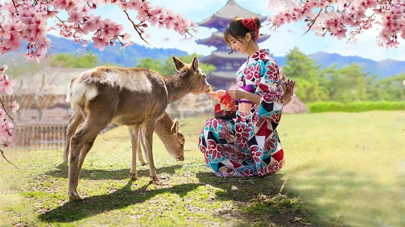 Osaka: Kyoto & Nara & Uji Historical and Scenic One-Day Tour - Price and value: why $56 can work, and what can quietly add up