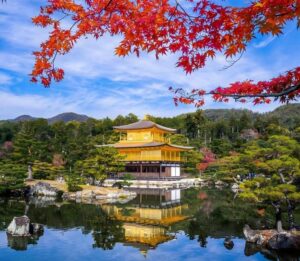 Osaka: Kyoto & Uji Historical Sites and Scenic Delights Tour - Kinkaku-ji Golden Pavilion: How to Make the Most of a 40-Minute Photo Stop
