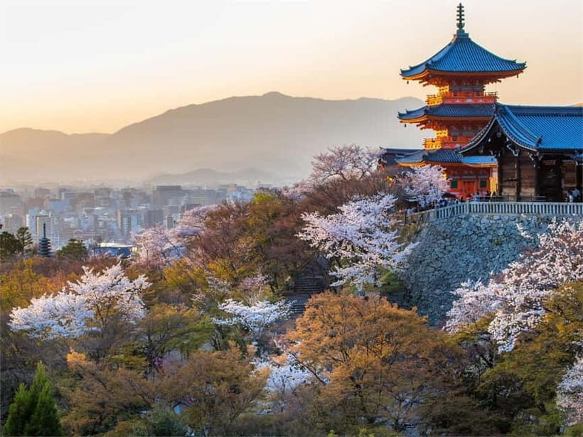 Osaka: Kyoto & Uji Historical Sites and Scenic Delights Tour - What to Bring and Who Should Skip This One