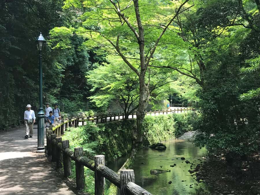 Osaka: Mino Forest Walk and Giant Waterfall with Local Lunch - Why the Waterfall Stop Feels Special With Yuzu Cider and Guide Talk