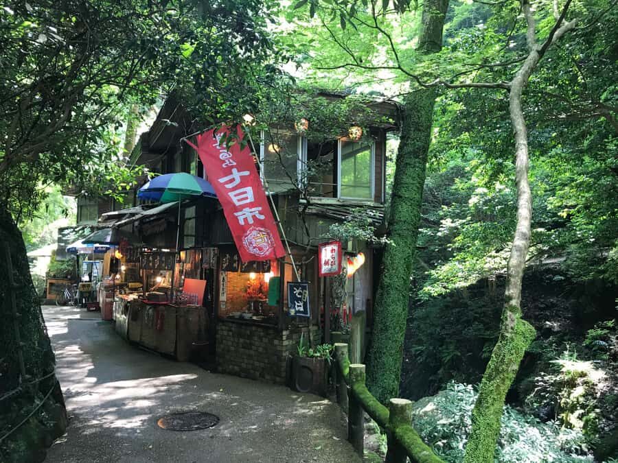 Osaka: Mino Forest Walk and Giant Waterfall with Local Lunch - The Return: Easier Walking and Time to Reset