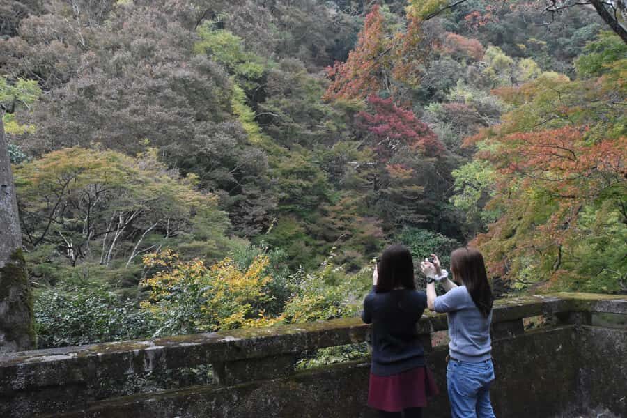 Osaka: Mino Forest Walk and Giant Waterfall with Local Lunch - Lunch in Mino: Local Restaurant Time, Not Food Court Energy