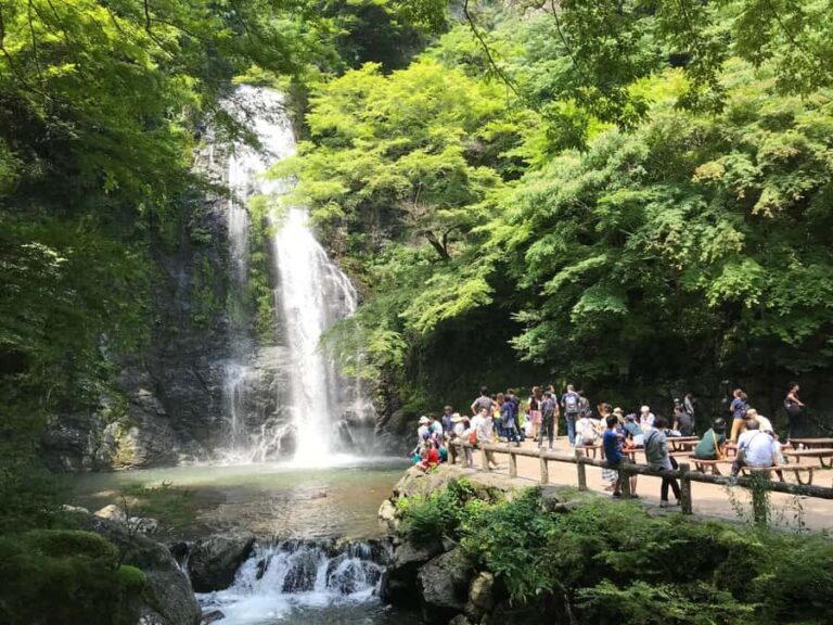 Osaka: Mino Forest Walk and Giant Waterfall with Local Lunch - The 1-Hour Cultural Riverside Walk: Temples, Snacks, and Seasonal Trees