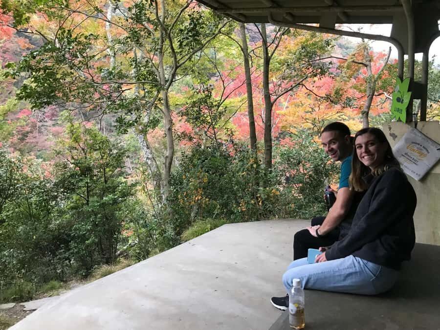 Osaka: Mino Forest Walk and Giant Waterfall with Local Lunch - Getting There Without Losing Your Mind: Meeting at Book Studio Osaka