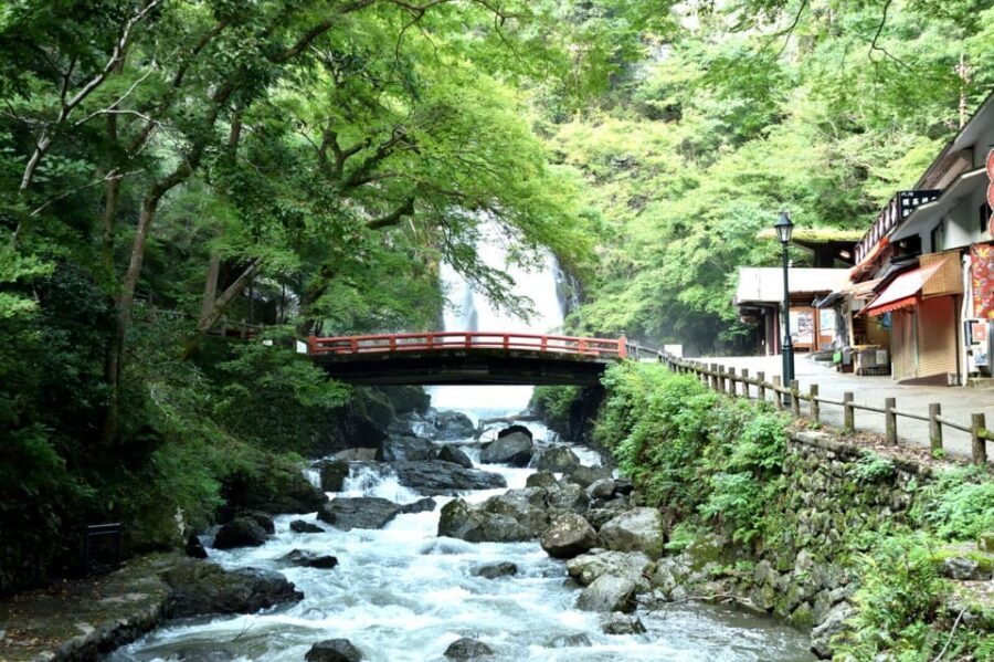 Osaka: Minoh, Katsuoji Temple, & Minoh Falls Full-day Tour - Key things that make this day trip click