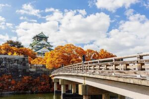 Osaka: Osaka Castle 3 hours Historical Walking Tour - Osaka Castle Museum: Where the Stories Are Actually Detailed