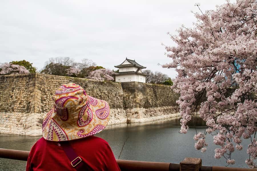 Osaka: Osaka Castle 3 hours Historical Walking Tour - Price and Value: What You’re Paying For (and What You’re Not)