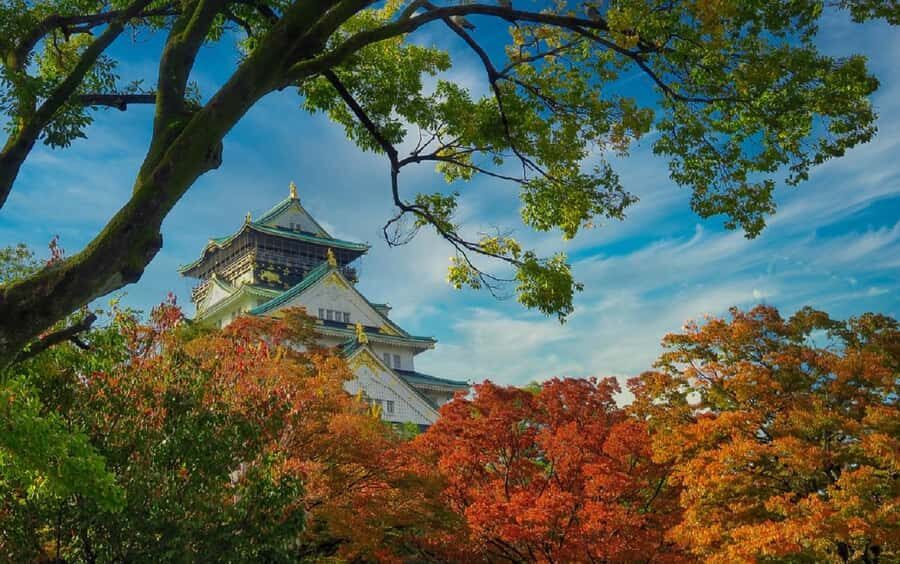 Osaka: Osaka Castle 3 hours Historical Walking Tour - Who This Tour Fits Best