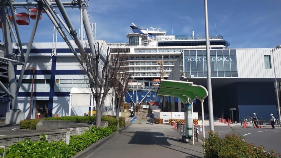 Osaka: Private 4/5/6h Tour For Cruise Ship Passengers - Dotonbori and the running man: entertainment district, explained and paced