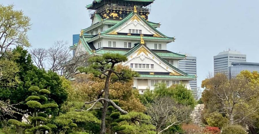 Osaka: Private and Fully Customized Tour with Hotel Meet Up - Kuromon Ichiba Market in a 30-minute window
