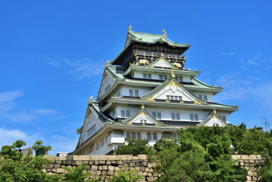 Osaka Private Custom Tour with Local Guide - Why this private Osaka route works when you have limited time