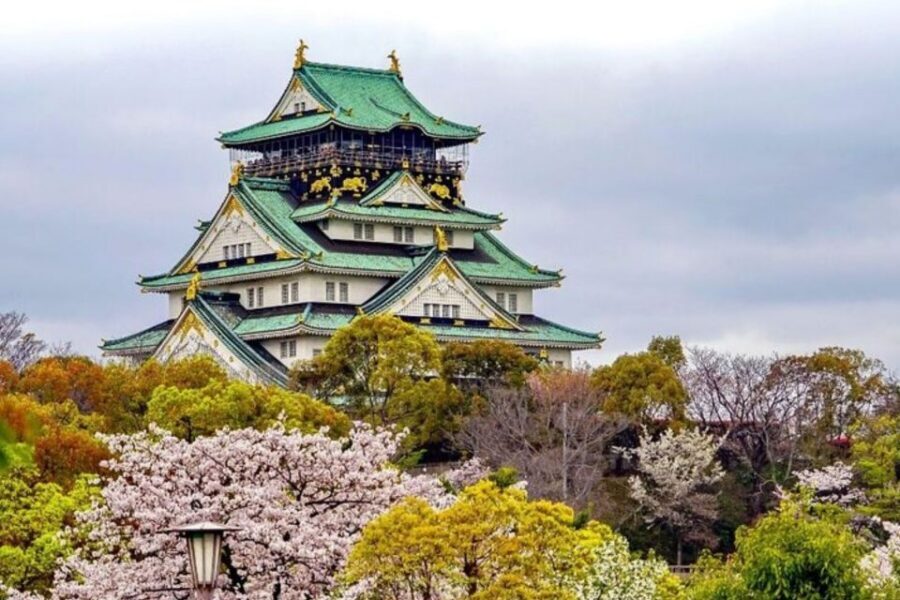 Osaka: Private Custom Walking Tour with a Local Guide - Should You Book This Private Custom Osaka Walking Tour?