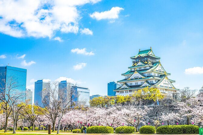 Osaka Private Day Trip - Enjoy Your First-Time Visit to Osaka! - Key highlights that matter on the ground