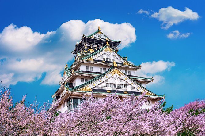 Osaka Private Food Tours by Local Foodies: 100% Personalized - What you should watch for during the tour