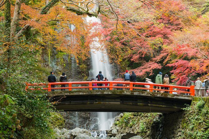 Osaka Private Food Tours by Local Foodies: 100% Personalized - How the host matching actually helps you eat better