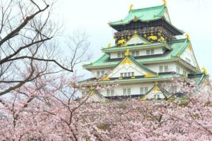 Osaka Private Walking Tour with a Local - America-mura Start: How the Walk Helps You Get Oriented