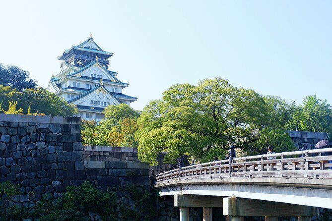 Osaka Private Walking Tour with a Local - Temples, Sakura Parks, and Moments That Feel Like Osaka
