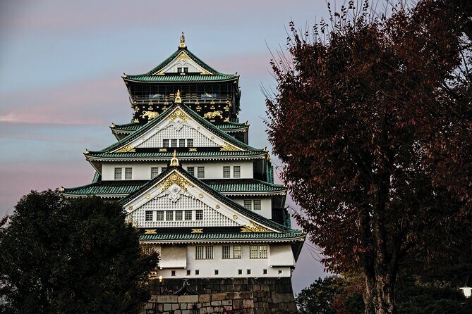 Osaka Private Walking Tour with a Local - Modern Osaka Viewpoints and the Weather Reality