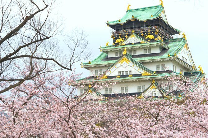 Osaka Private Walking Tour with a Local - America-mura Start: How the Walk Helps You Get Oriented