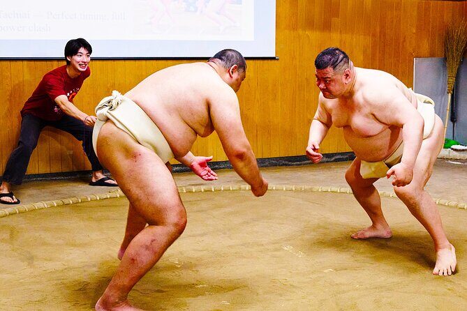 Osaka Sumo Experience with Live Show and Audience Challenge - Key things you’ll notice right away