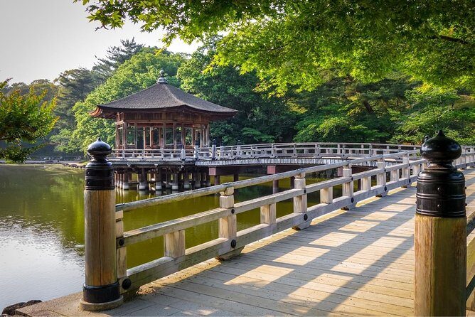 Osaka to Nara Day Trip with a Local – Private & Personalized - Price and Value: What You’re Actually Paying For