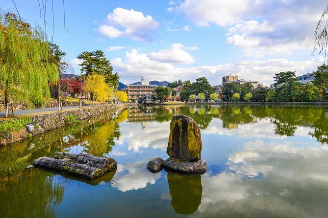 Osaka to Nara Day Trip with a Local – Private & Personalized - Osaka Pickup and Getting There: Trains, Tickets, and Time Math