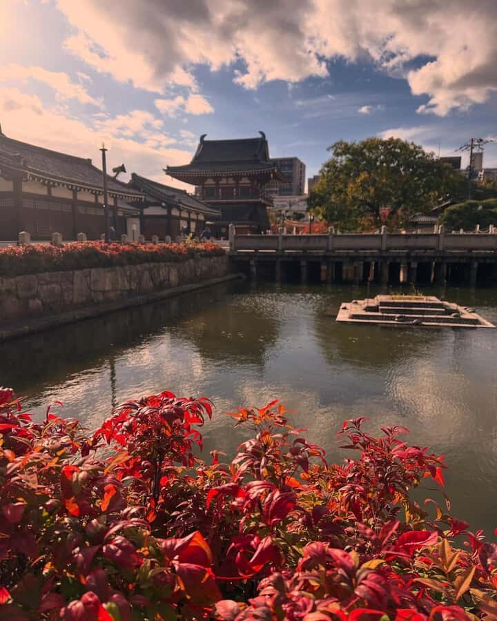 Osaka: Visit the must-see places. - Who this tour suits best (and who should skip it)