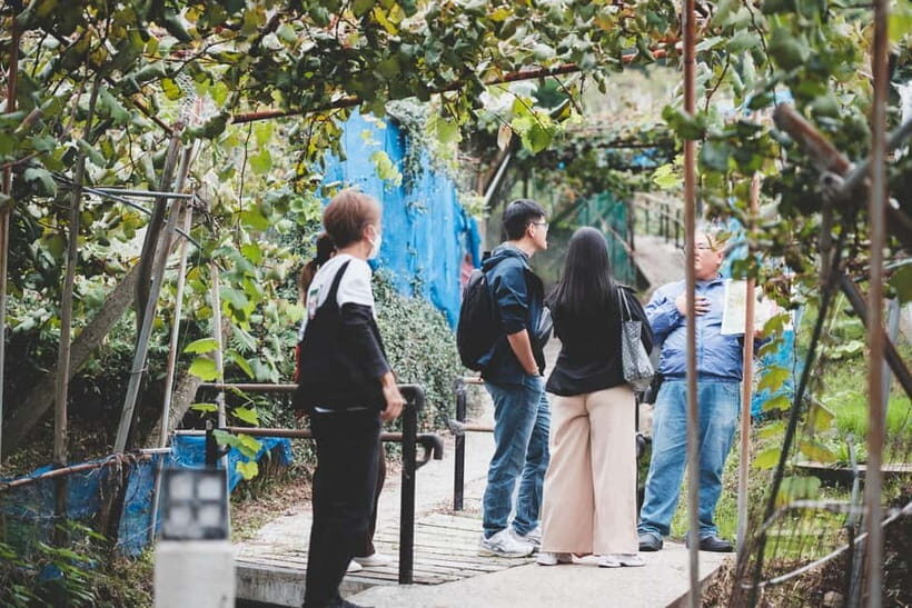 Osaka Winery Tour with Wine Tasting & Vineyard Walk - Should you book the Osaka Winery Tour with Wine Tasting & Vineyard Walk?