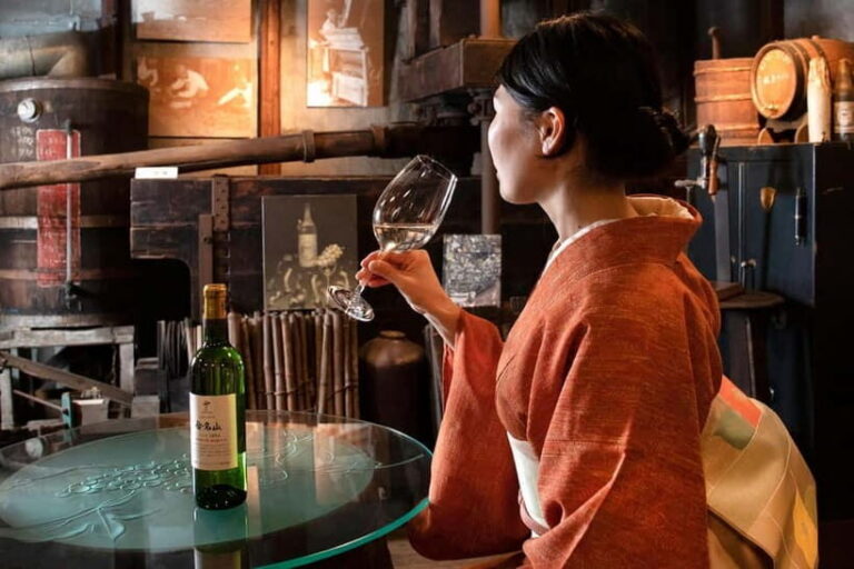 Osaka Winery Tour with Wine Tasting & Vineyard Walk - The 100-year-old aging cellar tour: the heart of the experience