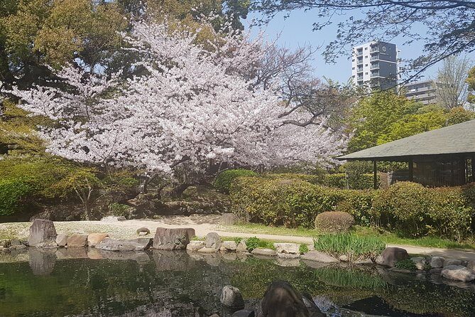 Osaka’s Best and Brightest: Private Full-Day Tour by Vehicle - Lunch in the Tennoji area: how the day stays on track