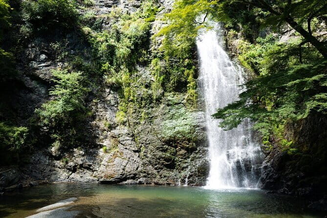Osaka's Secret Adventures: Daruma Magic and Minoh Falls - Lunch and Minoo Park: where the day loosens up