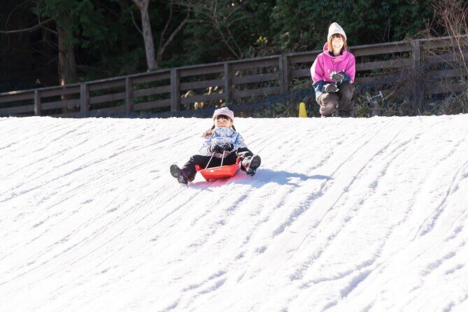 Play with Snow Crab Buffet Lunch and Strawberry Picking Bus Tour - Key highlights to know before you go