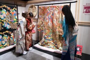 Premium Kimono Dressing, Tea Ceremony, Calligraphy, Samurai show - Price and Value: What You’re Really Paying For
