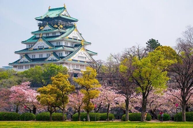 PRIVATE 6hr, Food tour from Osaka Castle, Kuromon, Dotonbori. - Key highlights to look for