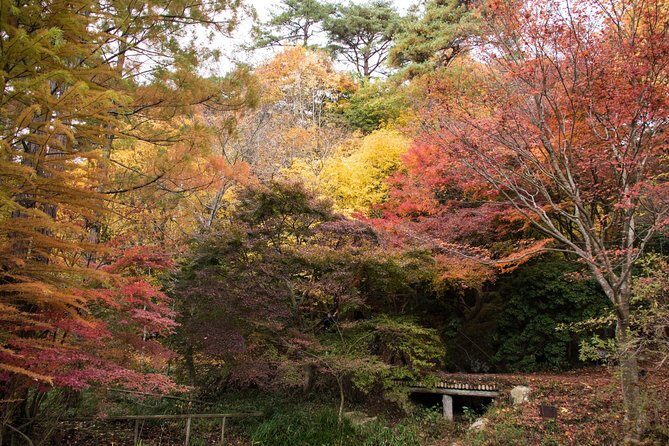 Private Car Day Trip to the Kobe Mountains, Gardens and Hot Springs from Osaka - Views from Mt. Rokko: time to look before you move on