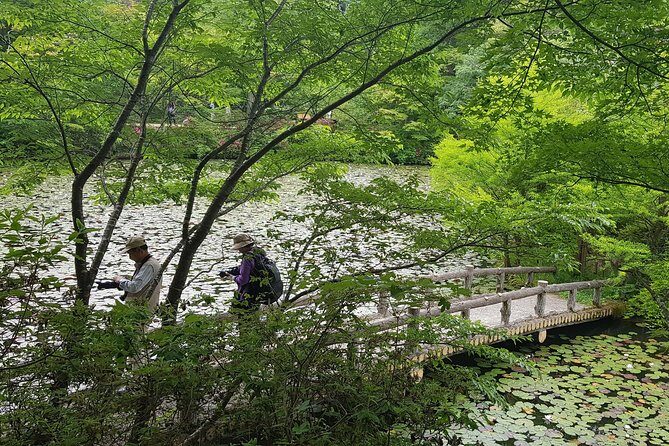 Private Car Day Trip to the Kobe Mountains, Gardens and Hot Springs from Osaka - Arima Onsen: how to get the most out of your soak time