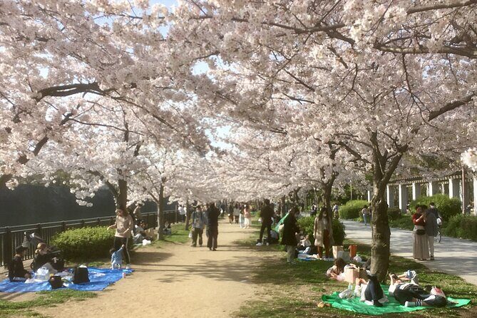 Private Osaka Tour with Hotel Meet Up - Key things I’d circle before you book
