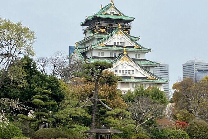 Private Osaka Tour with Hotel Meet Up - Private Osaka, with hotel pickup and room to breathe