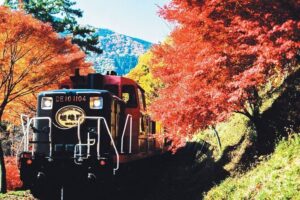 Sagano Romantic Train & Arashiyama, Kiyomizudera, Fushimi Inari Taisha Day Tour - Bus Comfort, Check-in Timing, and How the Day Stays on Track