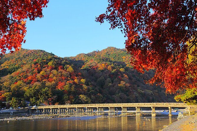 Sagano Romantic Train & Arashiyama, Kiyomizudera, Fushimi Inari Taisha Day Tour - Stop 2: Arashiyama Park, Sagano Bamboo Forest, and Togetsukyo Timing
