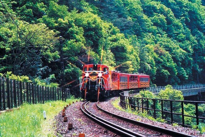 Sagano Romantic Train & Arashiyama, Kiyomizudera, Fushimi Inari Taisha Day Tour - Food Options: Buffet Lunch vs. Shabu Shabu and a Vegetarian Reality Check