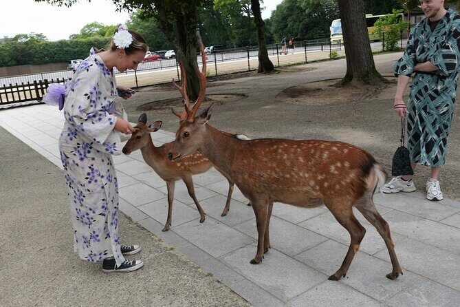 Shore Excursion: Full Day Private Nara Tour from Osaka /Kobe port - Key things to know before you go