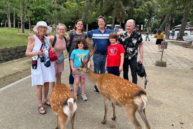 Shore Excursion: Full Day Private Nara Tour from Osaka /Kobe port - Why this Nara tour works so well for cruise days