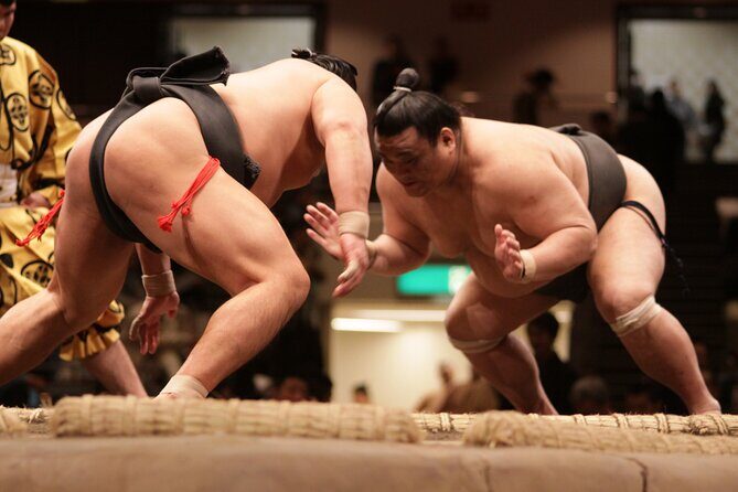 Sumo Wrestling Tournament Chair Seats & Expert Guide | Osaka Mar - Key highlights you should care about