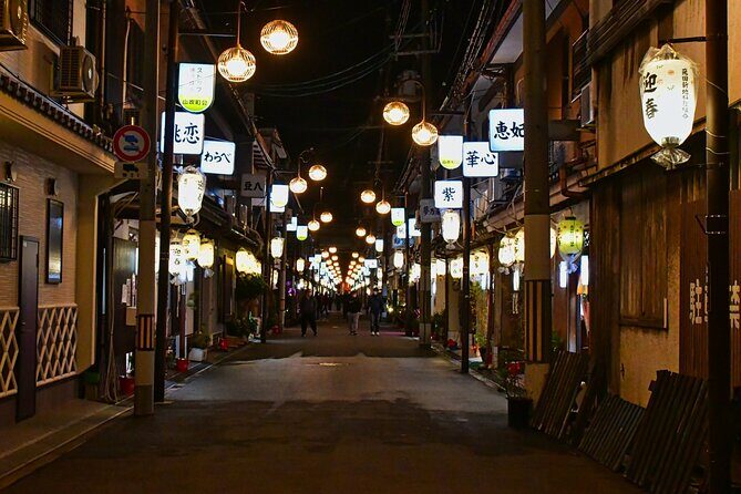 The Dark Side of Osaka Walking Tour - Who should book this Dark Side of Osaka walk?