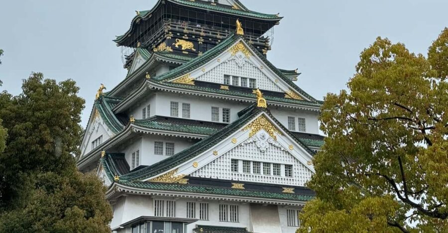 (Ticket Included) Explore Osaka Castle & Museum of History - Two tour options, same meeting point, different energy