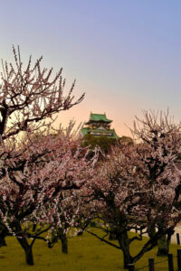 (Ticket Included) Explore Osaka Castle & Museum of History - Finding the meeting point: 難波宮跡 (標柱) near Tanimachi 4-chome