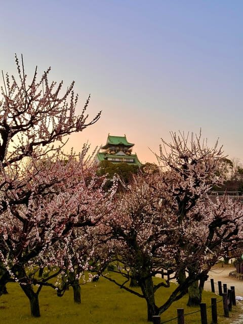 (Ticket Included) Explore Osaka Castle & Museum of History - Price and value: $22 can work if you want bundled entry + guidance