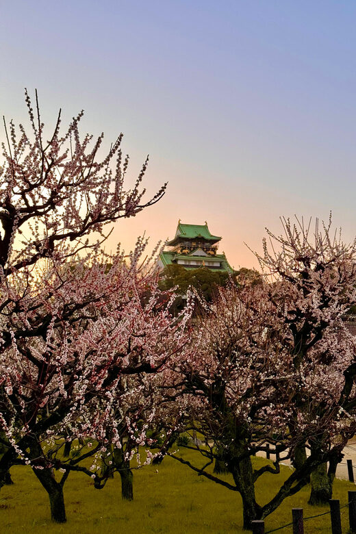 (Ticket Included) Explore Osaka Castle & Museum of History - Finding the meeting point: 難波宮跡 (標柱) near Tanimachi 4-chome